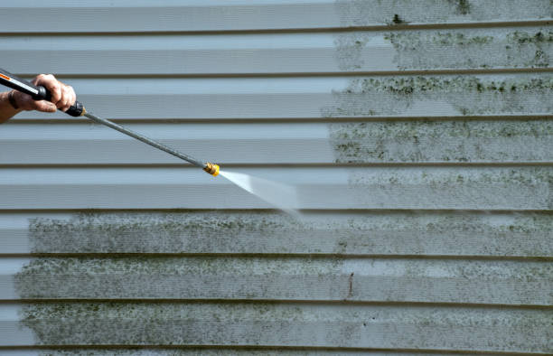 Best Insurance-Related Mold Remediation in Columbia, CA
