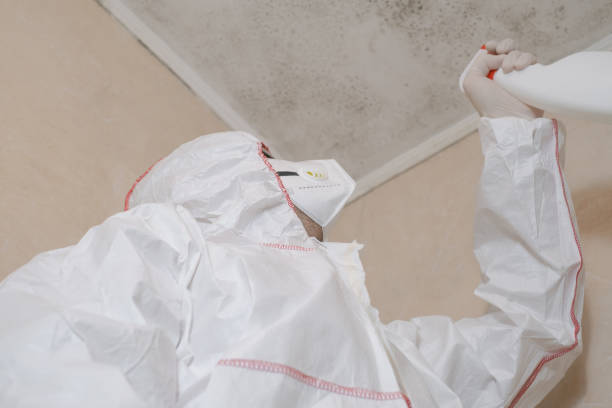 Best HVAC Mold Remediation in Columbia, CA