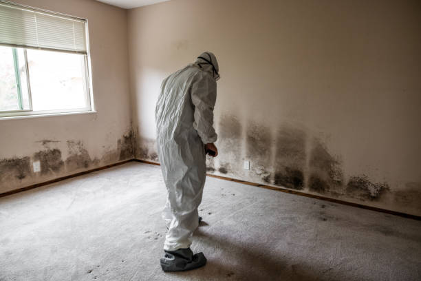Best Mold Testing and Inspection Services in Columbia, CA